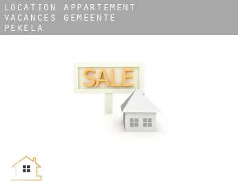 Location appartement vacances  Gemeente Pekela