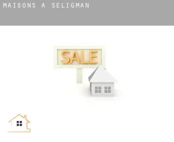 Maisons à  Seligman