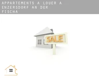 Appartements à louer à  Enzersdorf an der Fischa