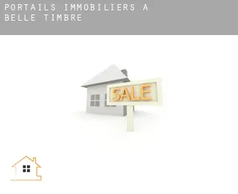 Portails immobiliers à  Belle Timbre