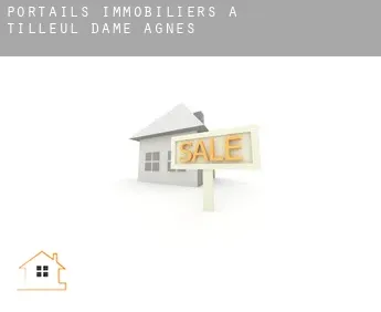 Portails immobiliers à  Tilleul-Dame-Agnès