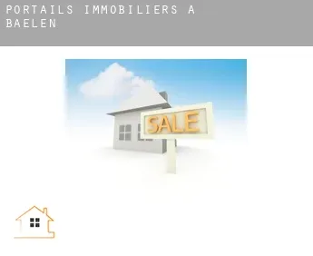 Portails immobiliers à  Baelen