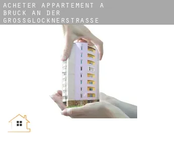 Acheter appartement à  Bruck an der Großglocknerstraße