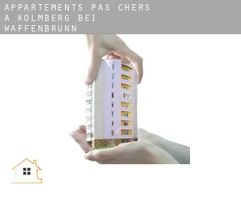 Appartements pas chers à  Kolmberg bei Waffenbrunn
