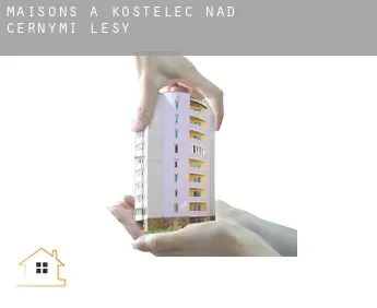 Maisons à Kostelec nad Černými Lesy
