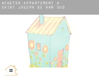 Acheter appartement à  Saint-Joseph-de-Ham-Sud