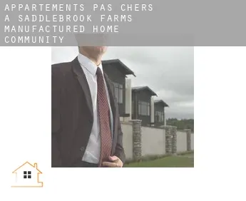 Appartements pas chers à  Saddlebrook Farms Manufactured Home Community