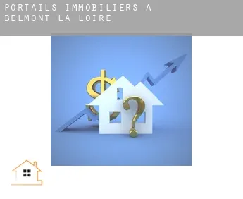 Portails immobiliers à  Belmont-de-la-Loire