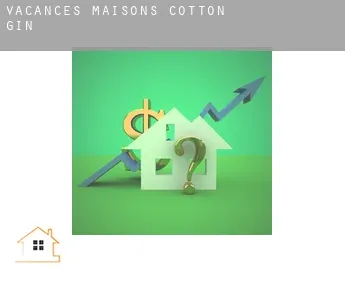 Vacances maisons  Cotton Gin