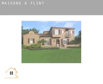 Maisons à  Flint