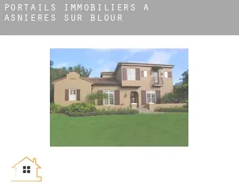 Portails immobiliers à  Asnières-sur-Blour