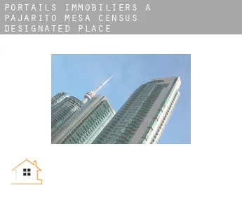 Portails immobiliers à  Pajarito Mesa