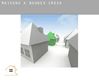 Maisons à  Boones Creek