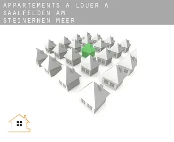 Appartements à louer à  Saalfelden am Steinernen Meer