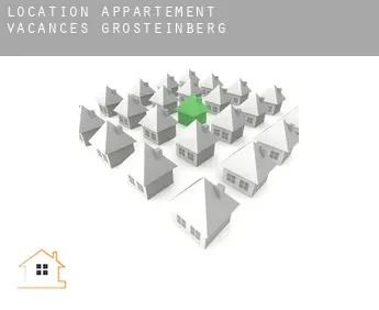 Location appartement vacances  Großsteinberg