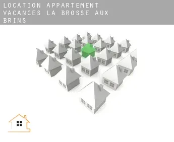 Location appartement vacances  La Brosse-aux-Brins