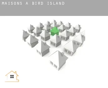 Maisons à  Bird Island