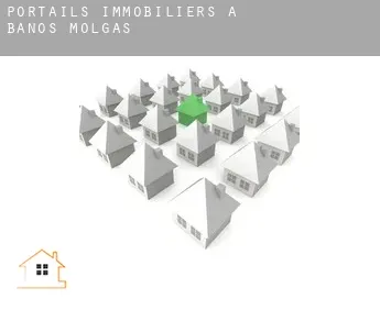 Portails immobiliers à  Baños de Molgas