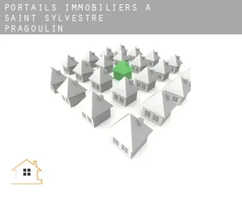 Portails immobiliers à  Saint-Sylvestre-Pragoulin