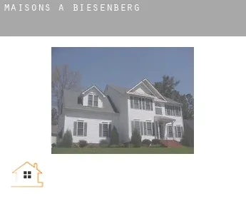 Maisons à  Biesenberg