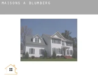 Maisons à  Blumberg