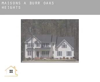 Maisons à  Burr Oaks Heights