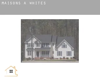 Maisons à  Whites