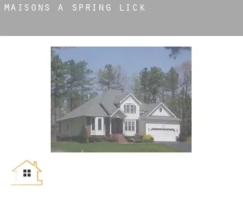 Maisons à  Spring Lick