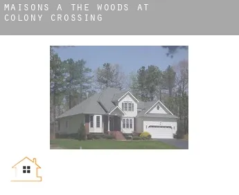 Maisons à  The Woods at Colony Crossing