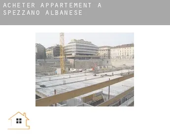 Acheter appartement à  Spezzano Albanese