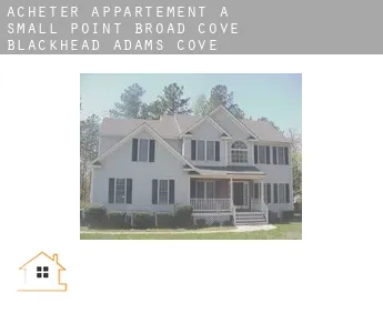 Acheter appartement à  Small Point-Broad Cove-Blackhead-Adams Cove